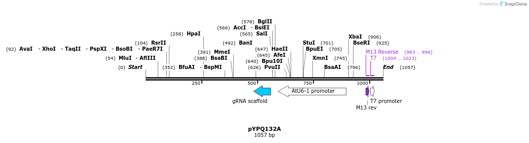 123966_map