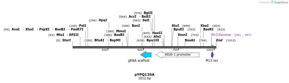 123969_map
