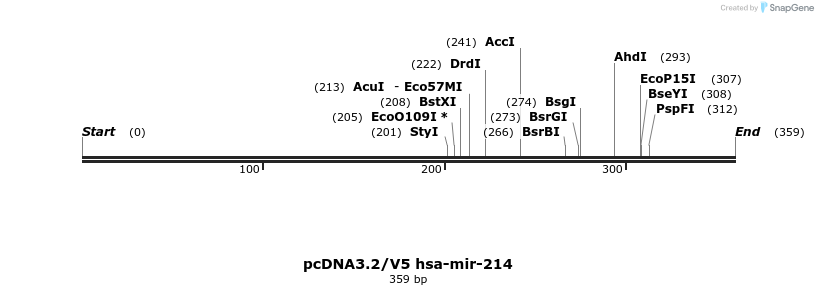 12397_map