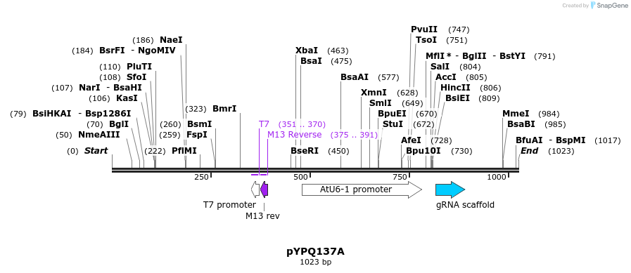 123970_map