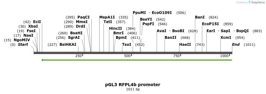 123972_map