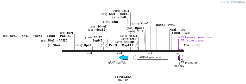 123974_map