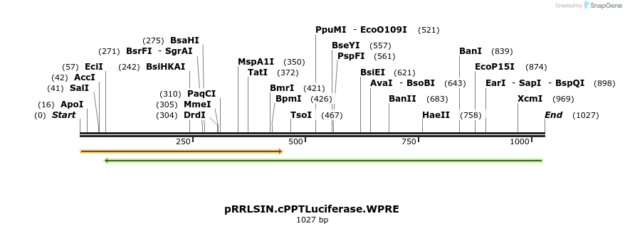 123976_map