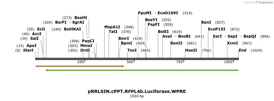 123980_map