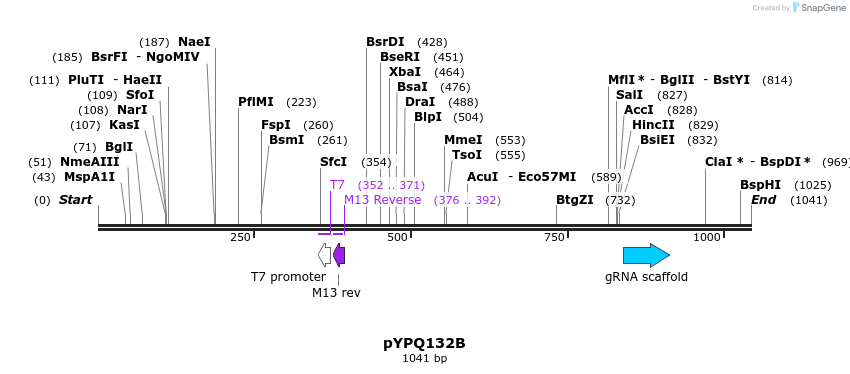 123981_map