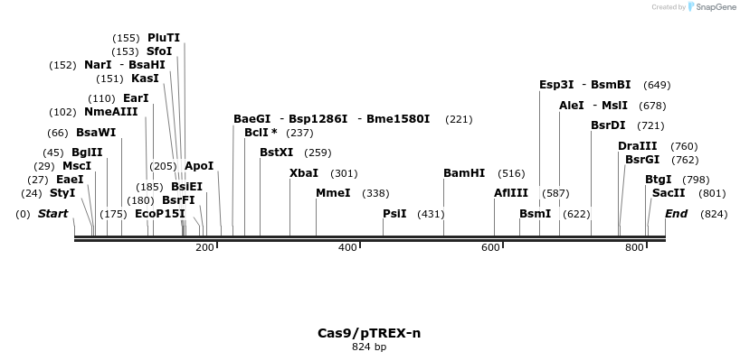 123986_map