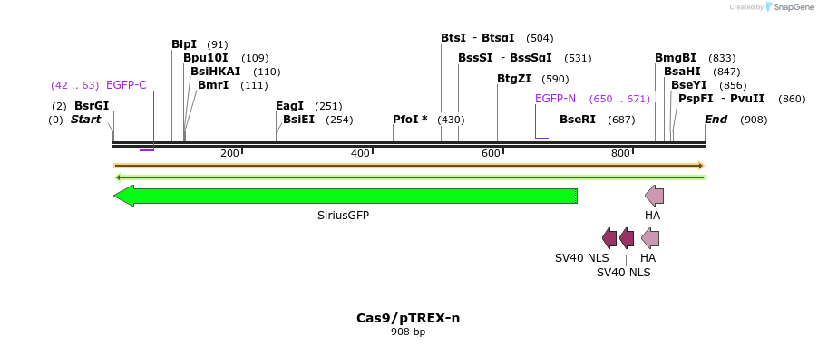 123987_map