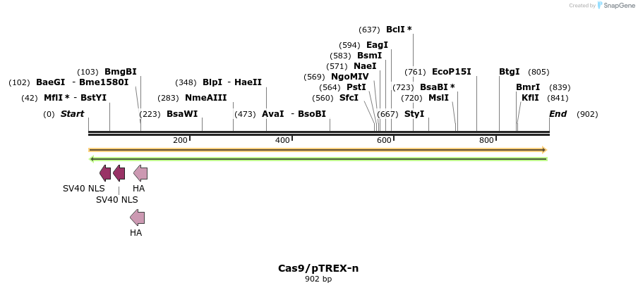 123988_map