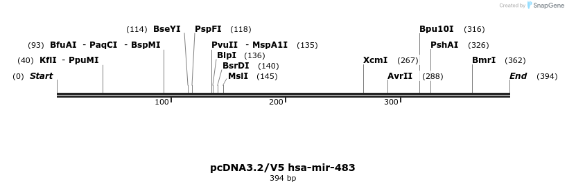 12399_map