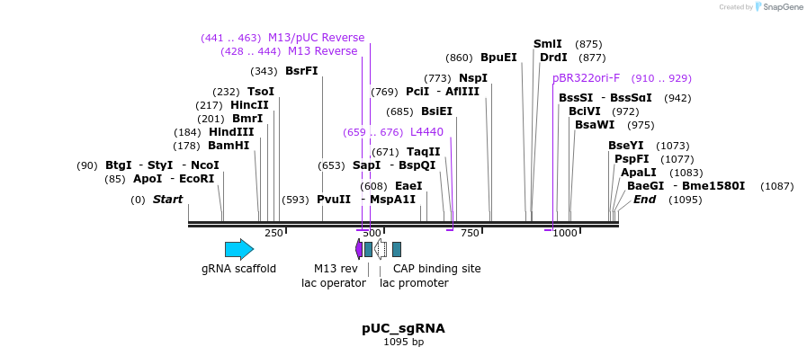 123990_map