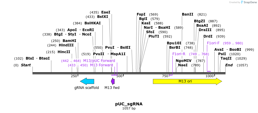 123991_map