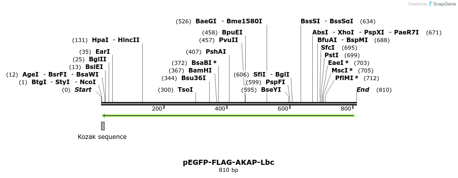 124003_map