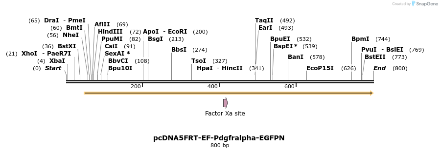 124006_map