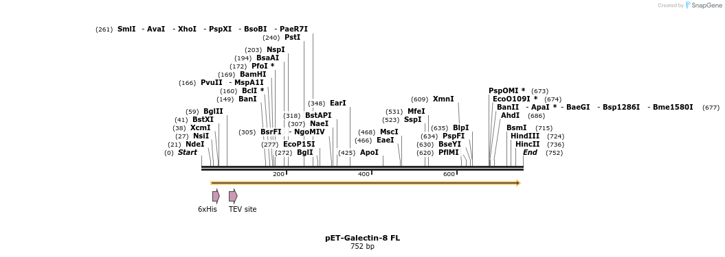 124009_map
