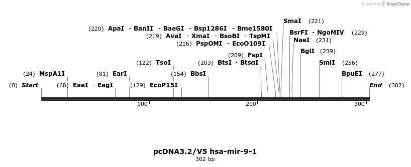 12401_map