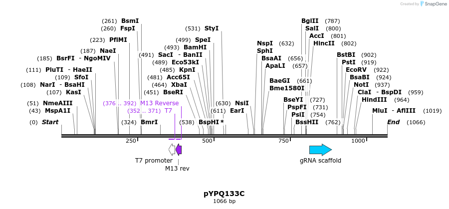124013_map