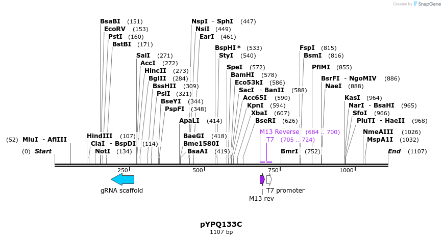 124014_map