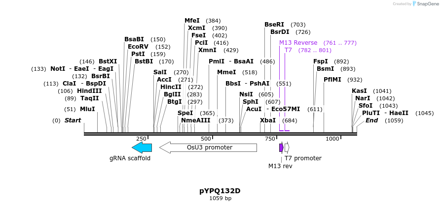 124016_map