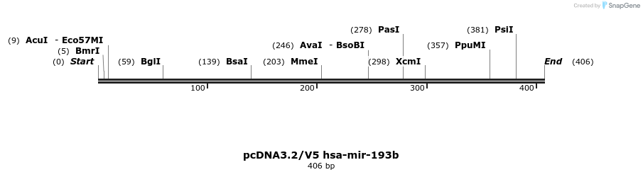 12402_map
