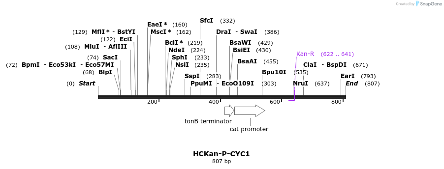 124021_map