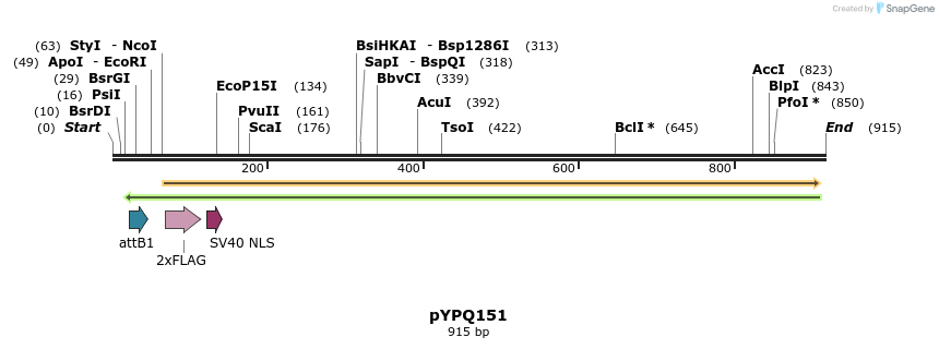 124022_map