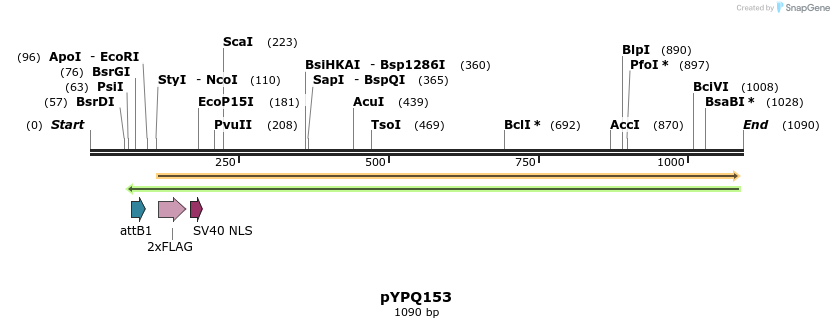 124024_map