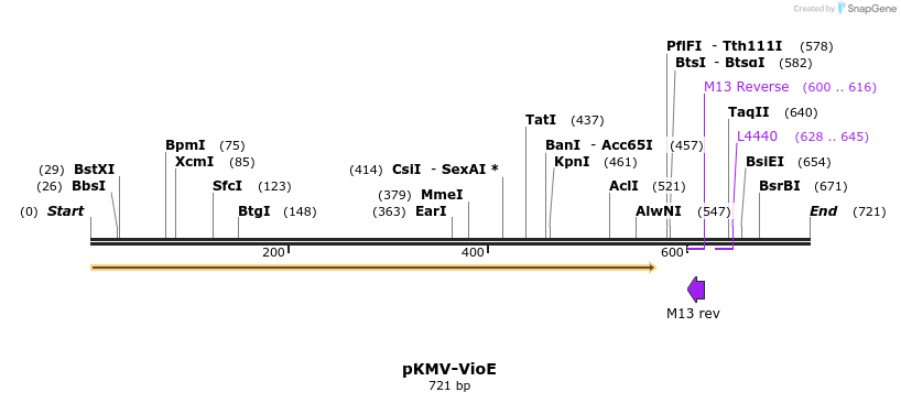 124026_map