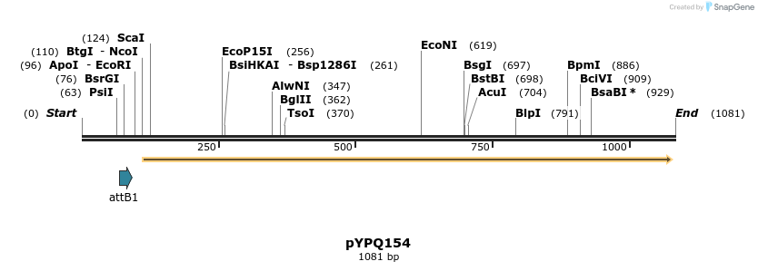 124027_map