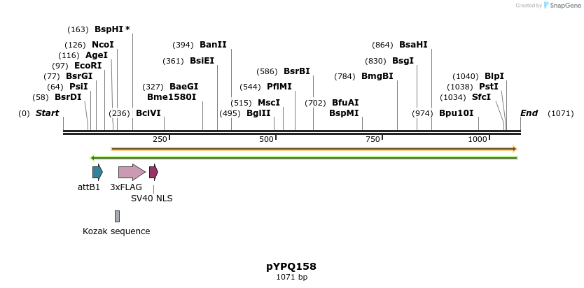 124030_map