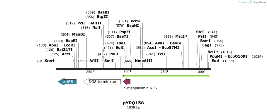 124031_map
