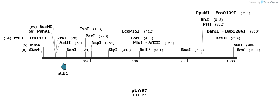 124034_map