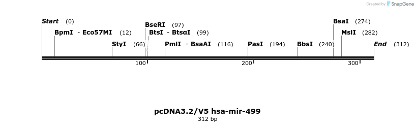 12404_map