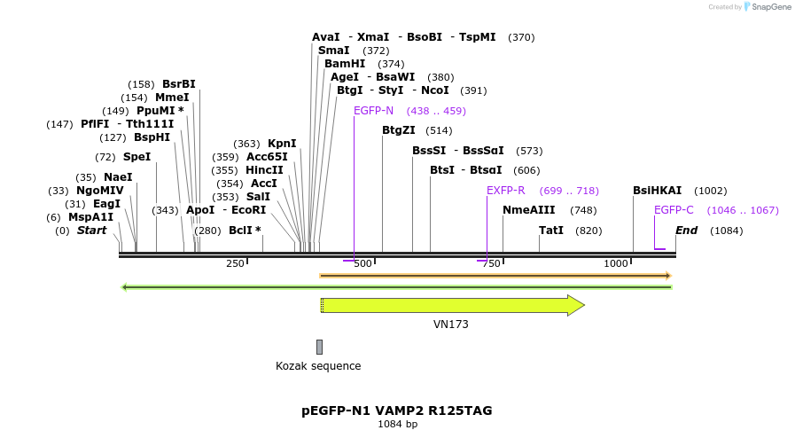 124040_map