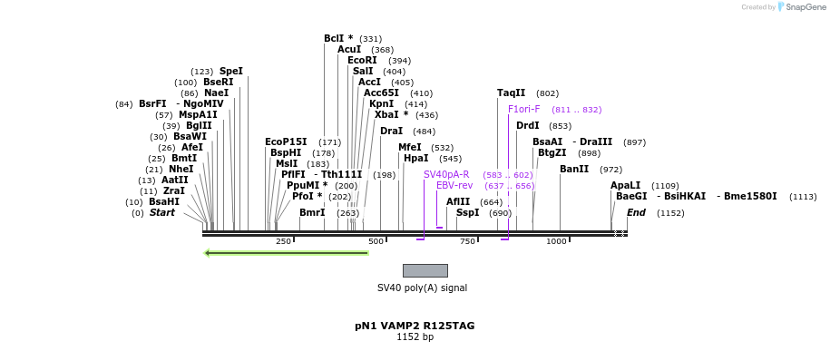 124042_map