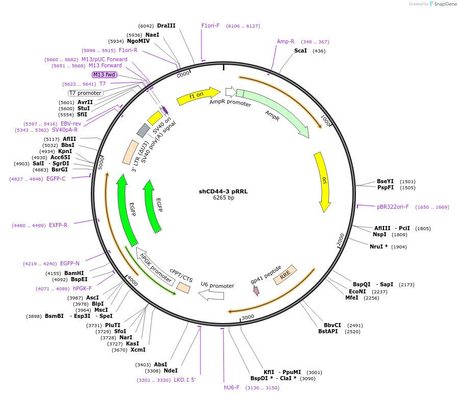 124047_map
