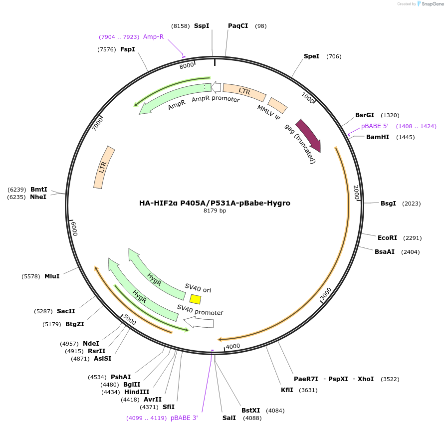 124048_map
