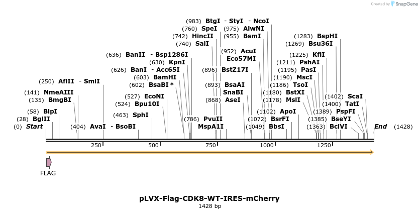 124051_map