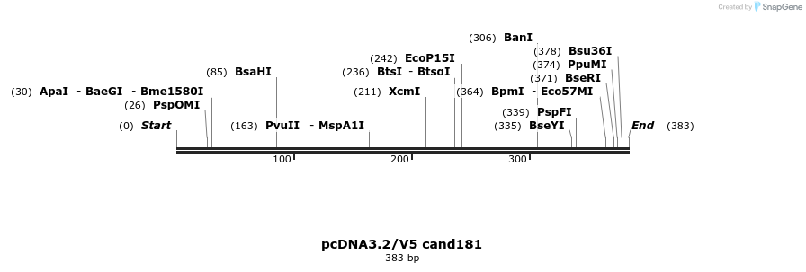 12407_map