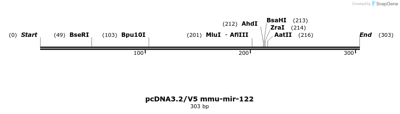 12409_map
