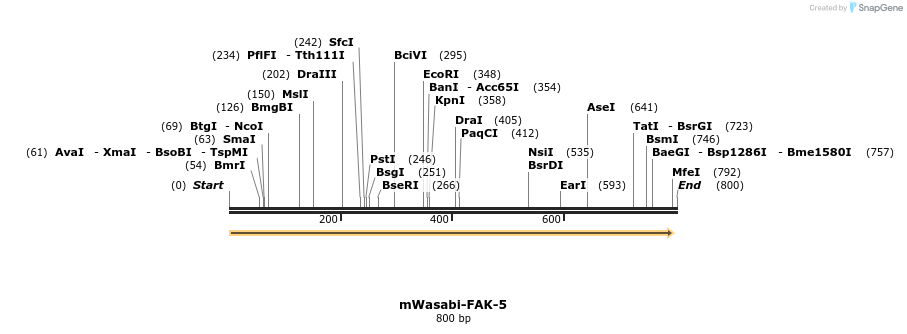 124093_map