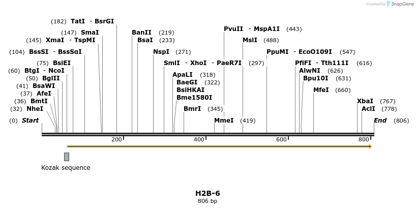 124094_map