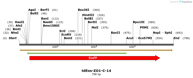 124098_map
