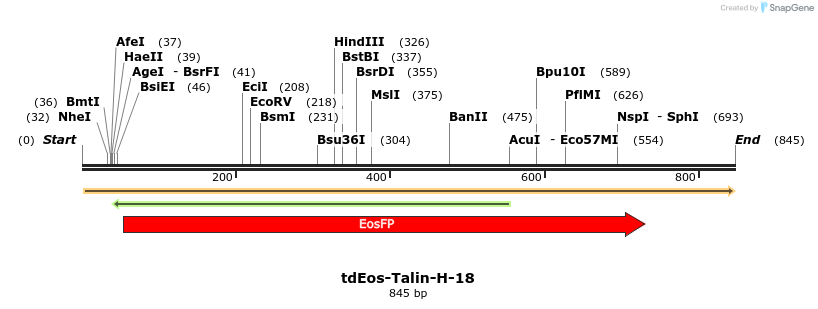 124101_map