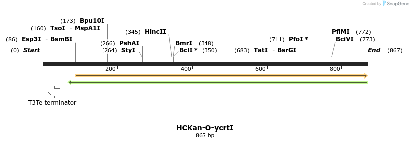 124102_map
