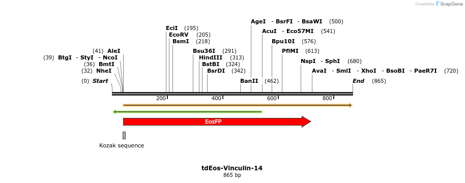 124103_map