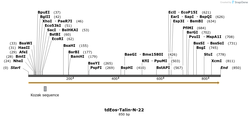 124104_map