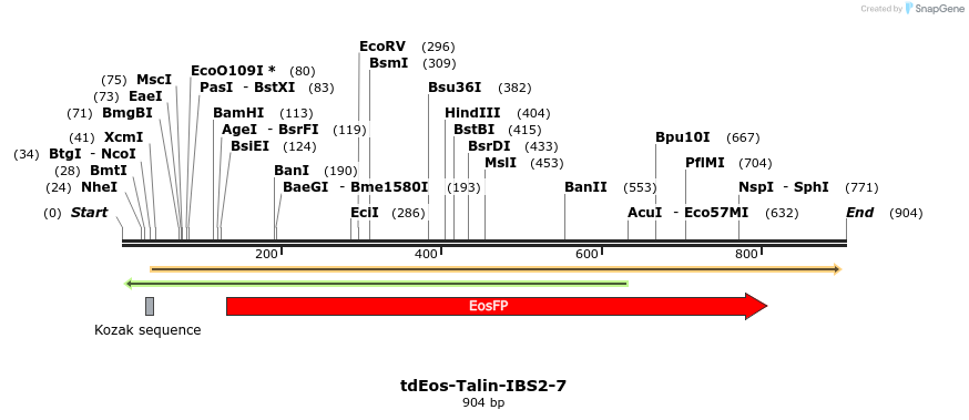 124105_map