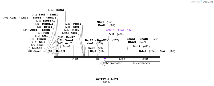 124107_map