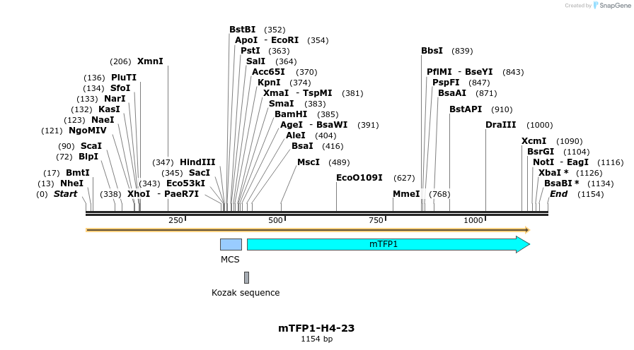 124108_map