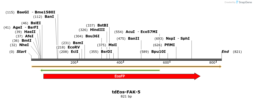 124109_map
